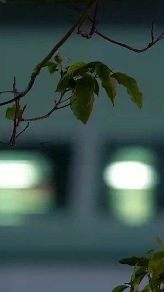 ตอนที่ 9