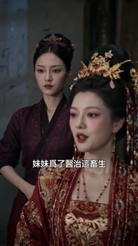 集 6