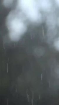 集 7