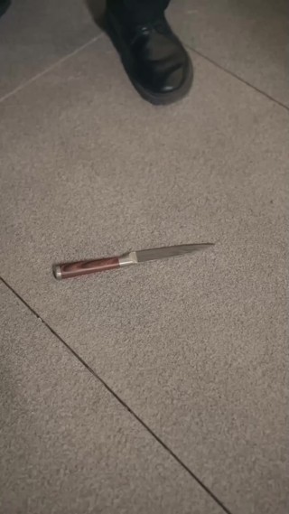 集 29