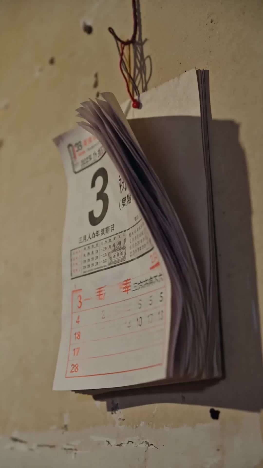 集 7
