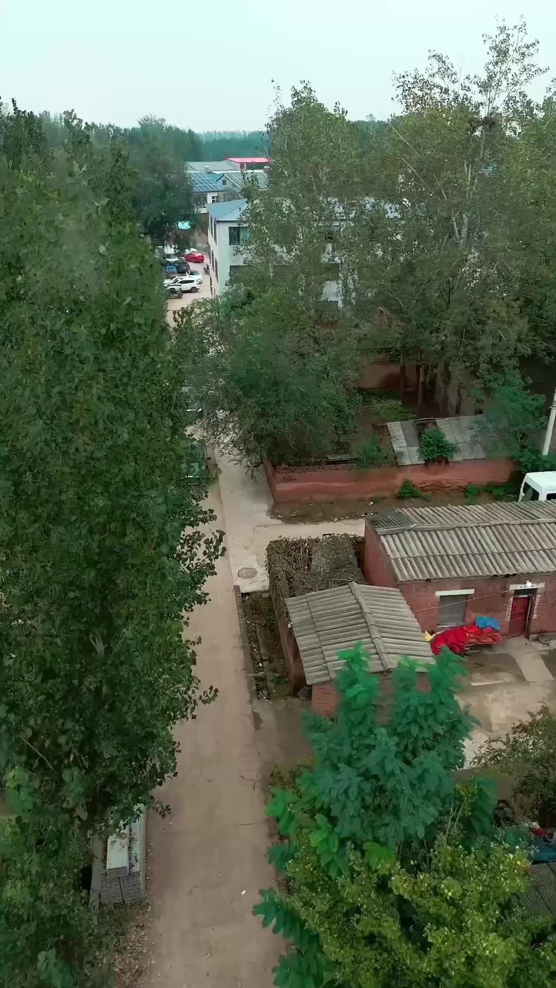 Episódio 15