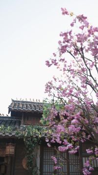 集 1