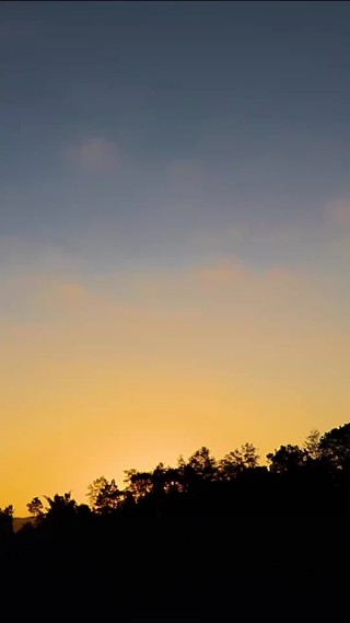 集 29