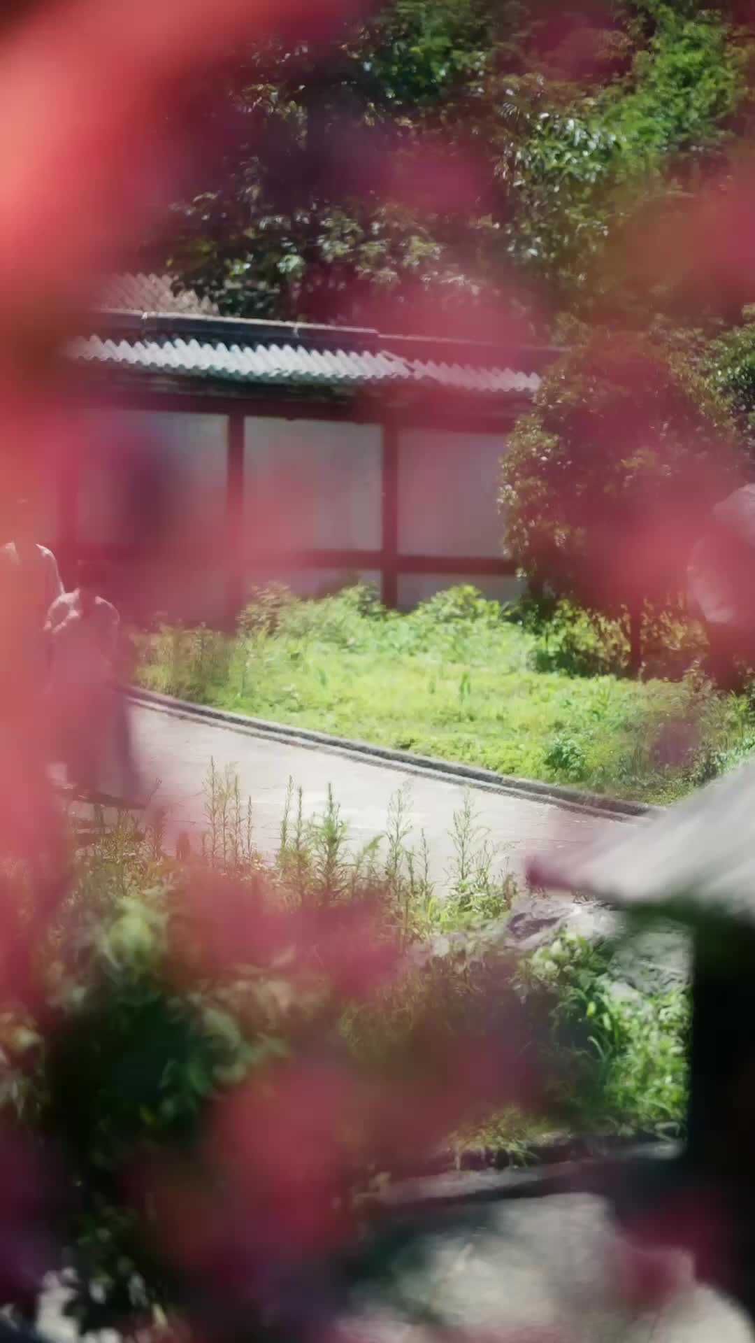集 5