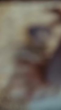 화 9