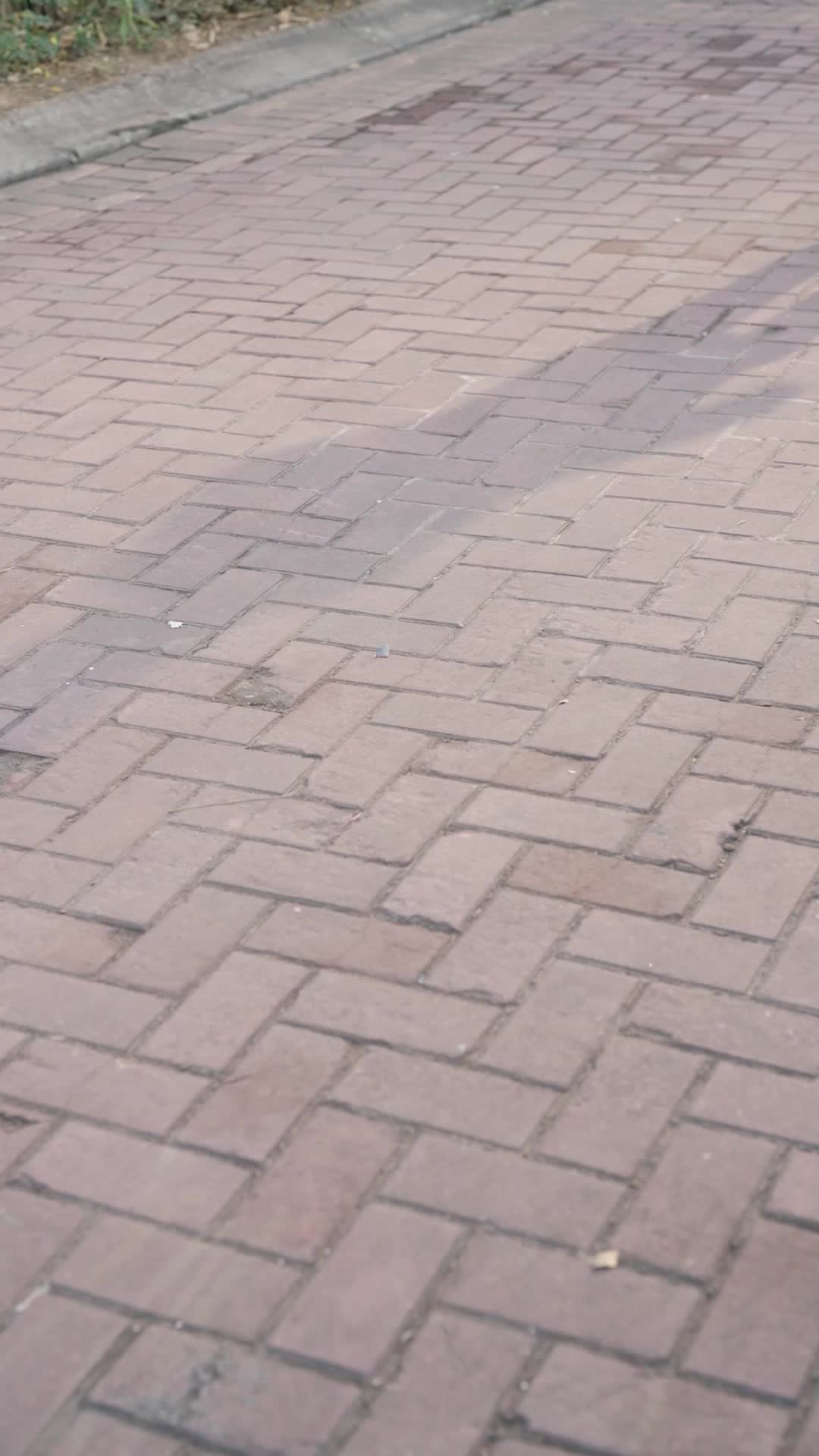 ตอนที่ 11