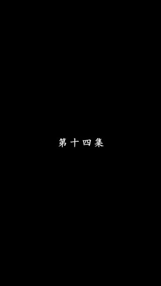 集 14