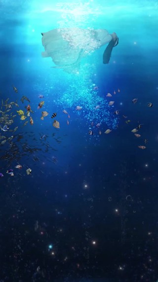 集 4