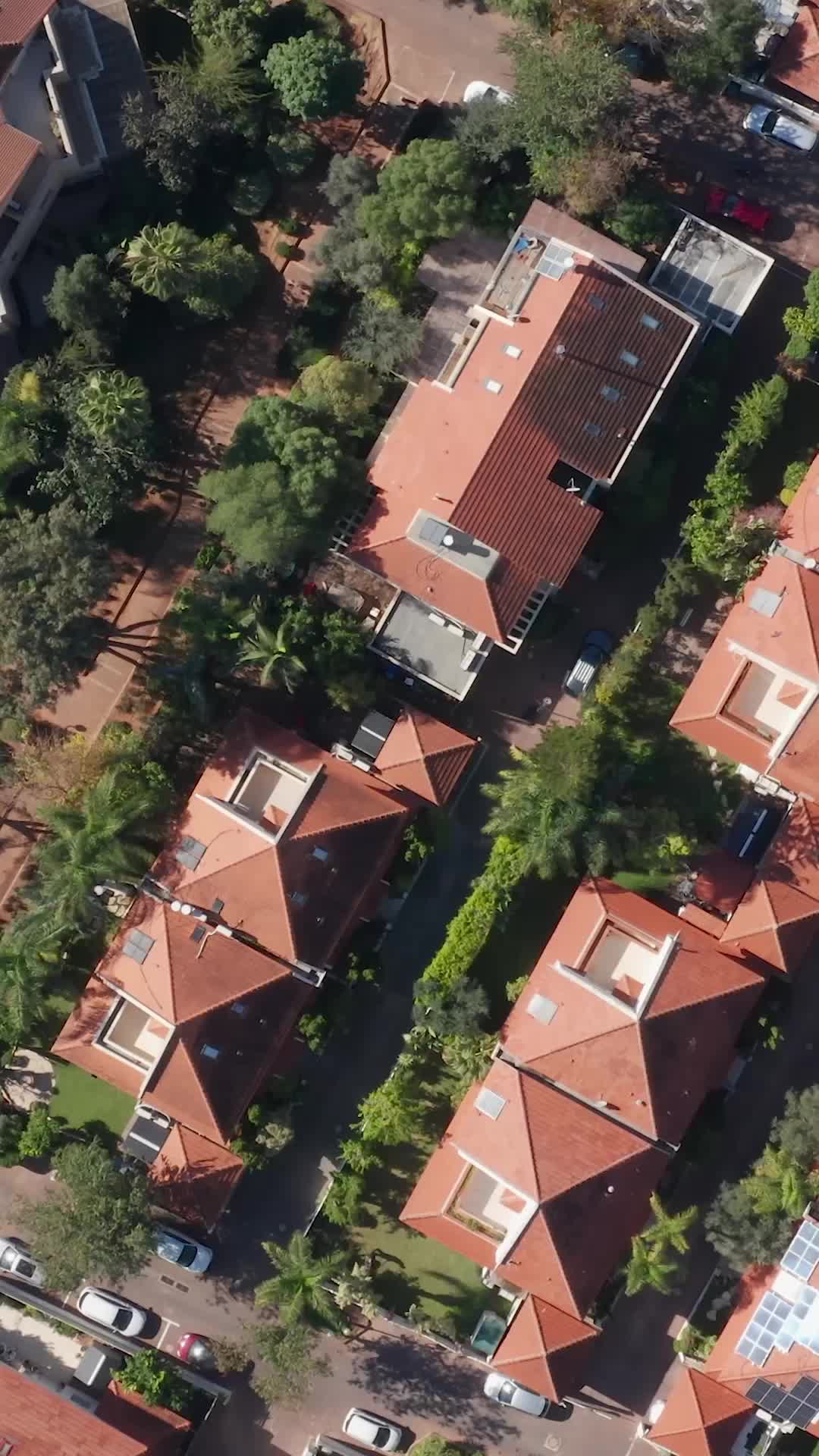 Bölüm 12