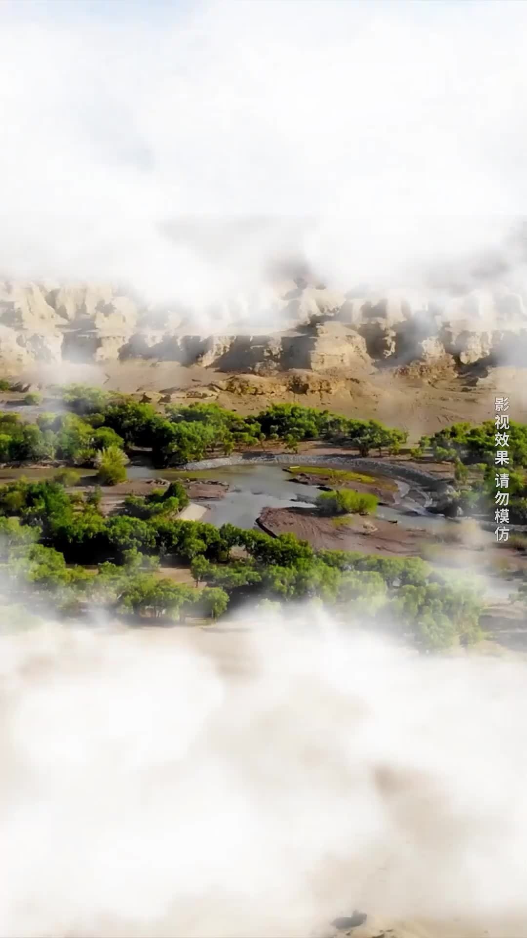 集 1