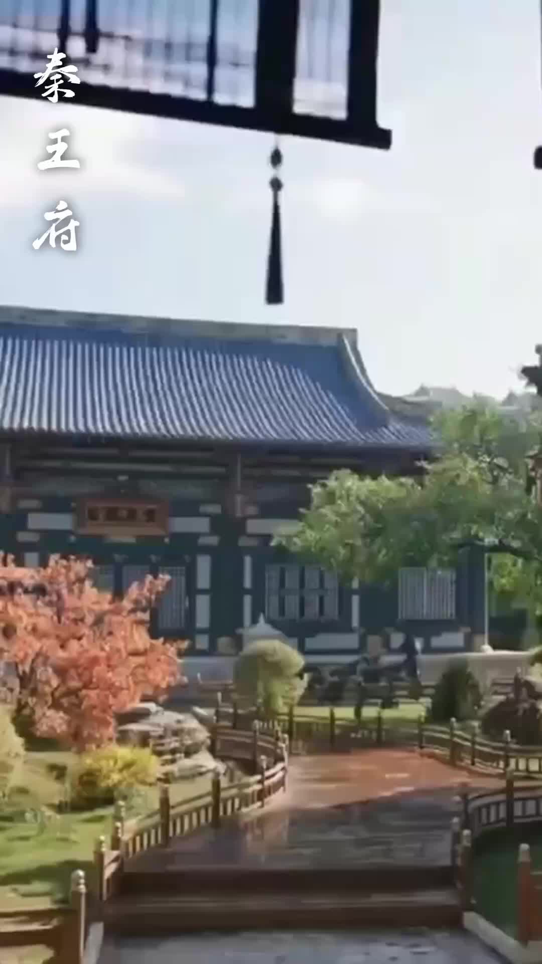 集 15
