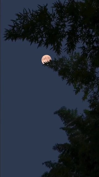 Episode 22