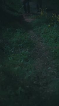 Episodio 11