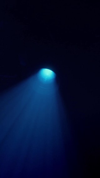 集 7