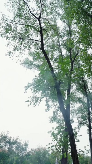 集 17