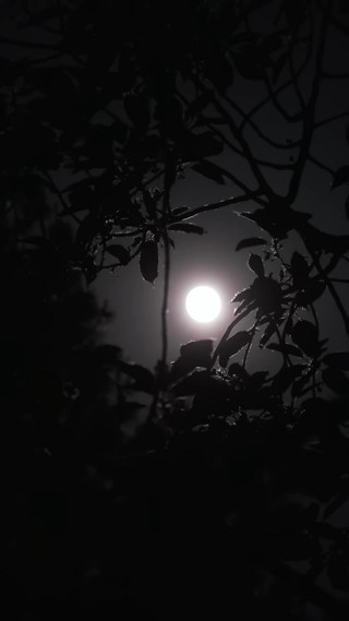 Épisode 11