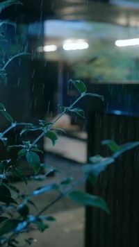 ตอนที่ 1