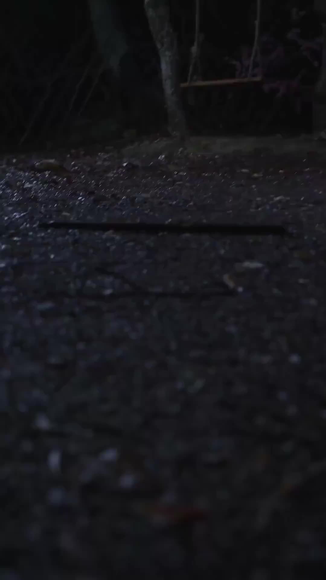 集 27