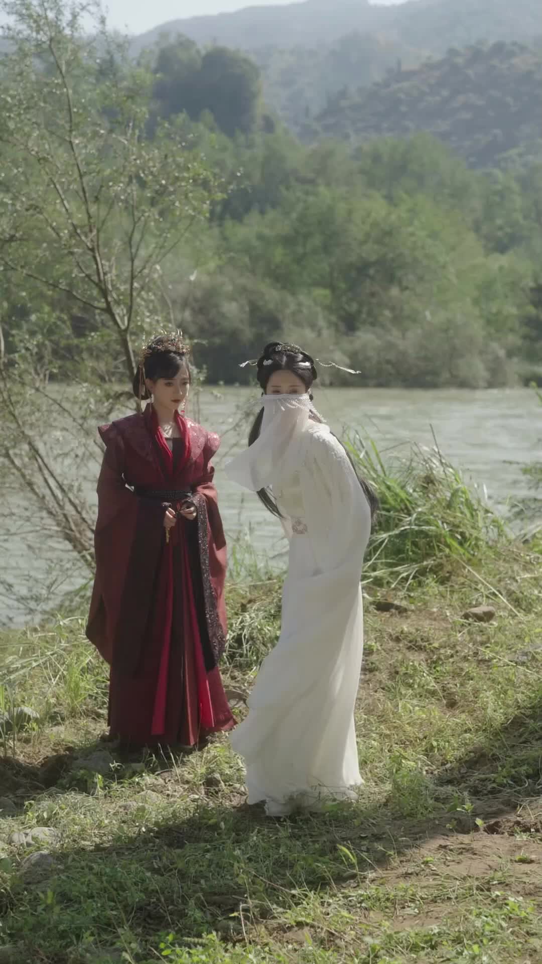 集 29