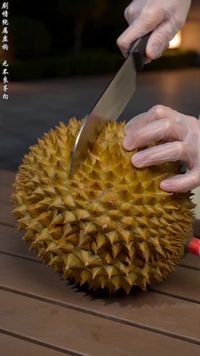 集 6
