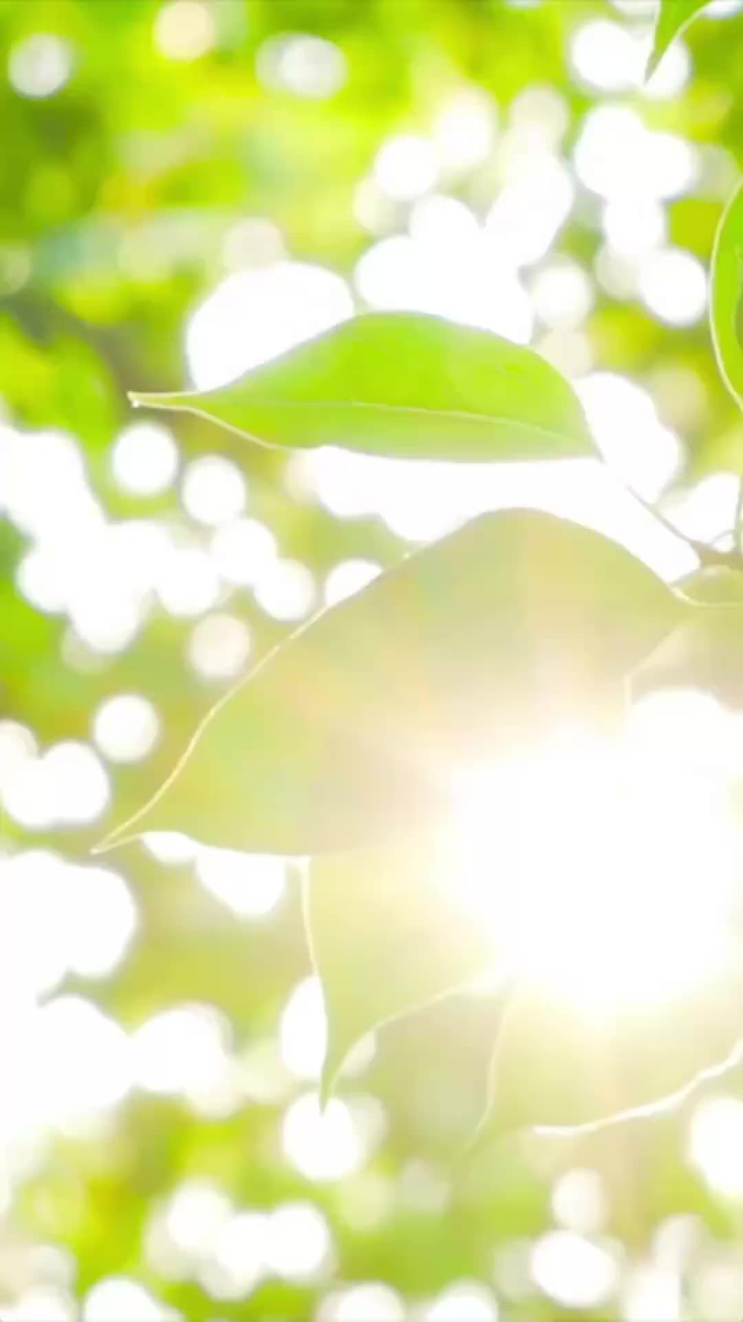 集 20