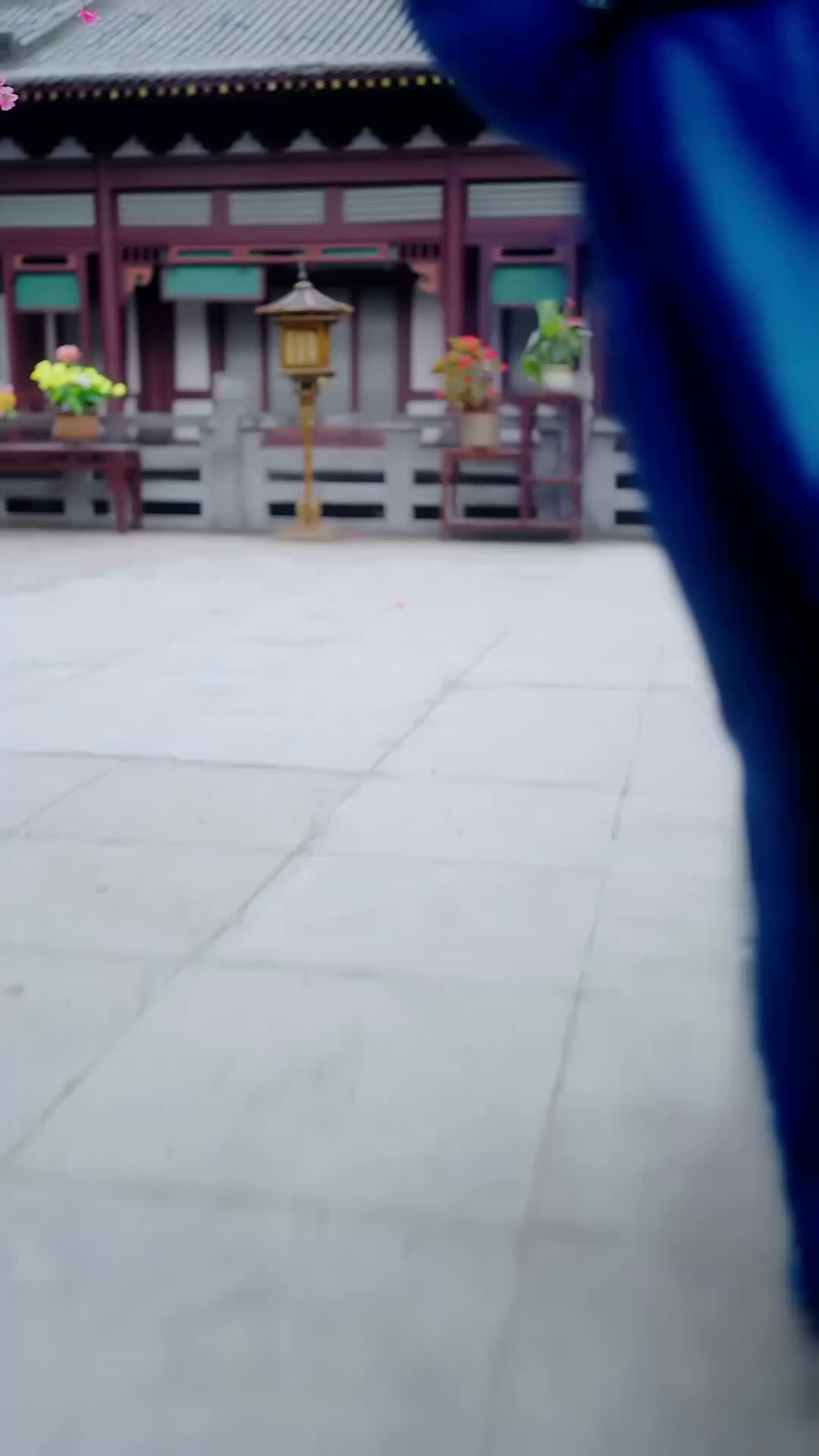 集 15
