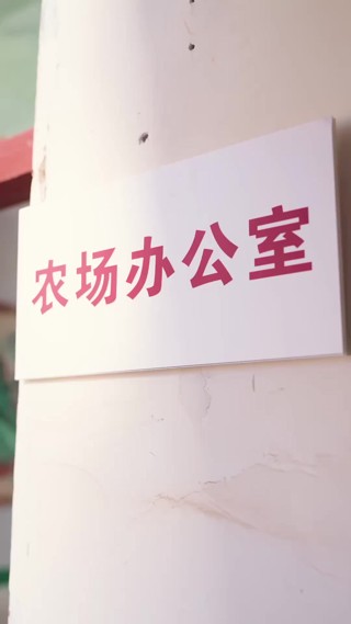 集 30