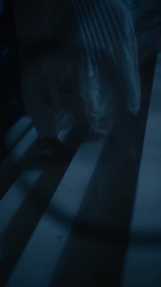 Episode 23
