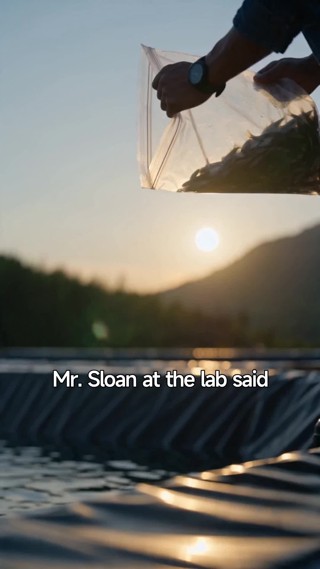 Episode 26
