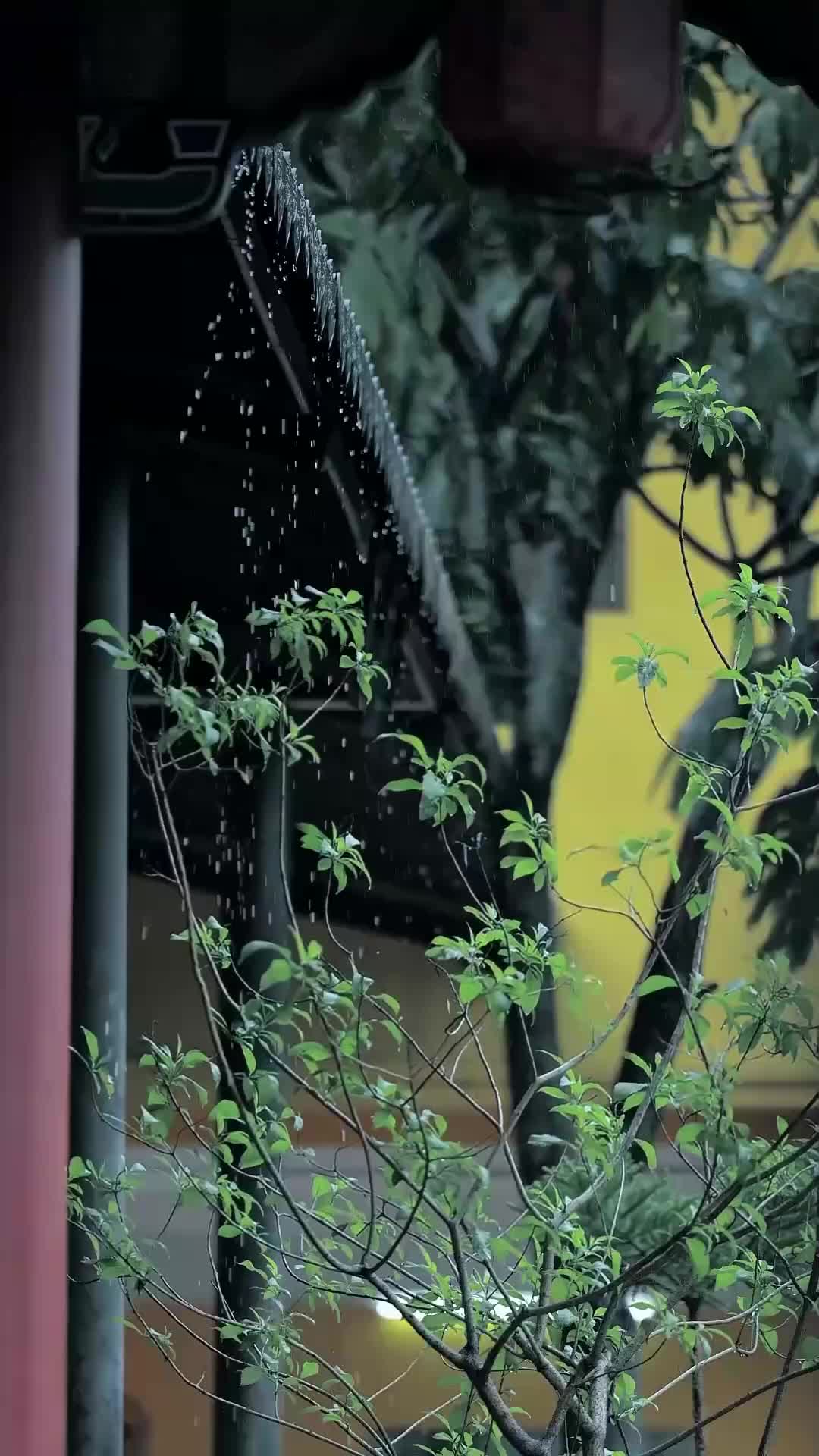 話 7