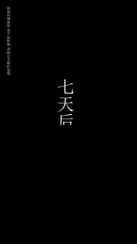 集 19