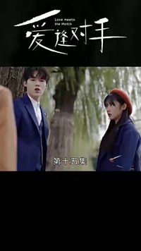 集 15