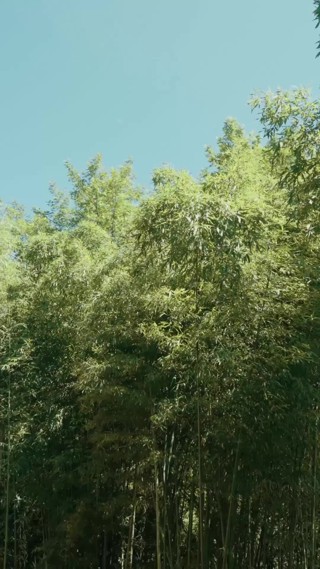 集 3