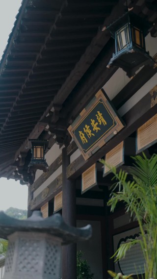 集 14