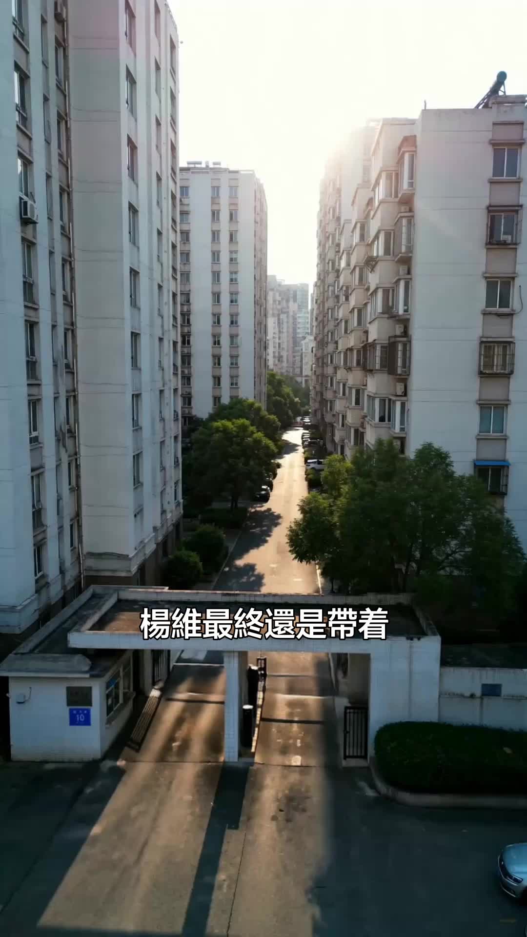 集 8