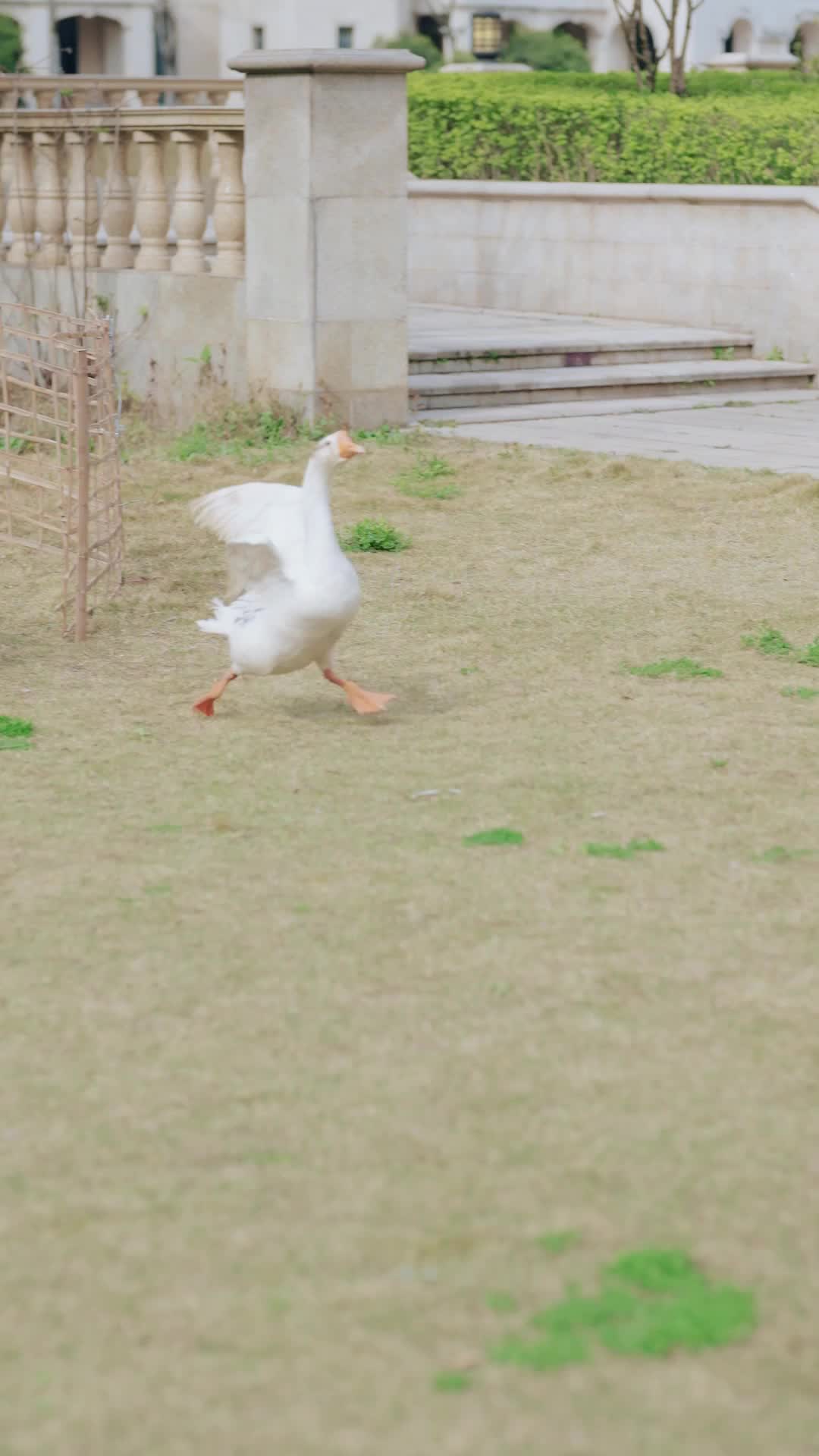 集 1