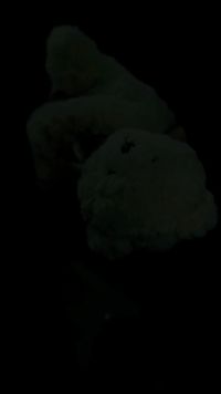 集 28