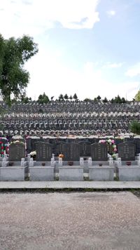 集 2