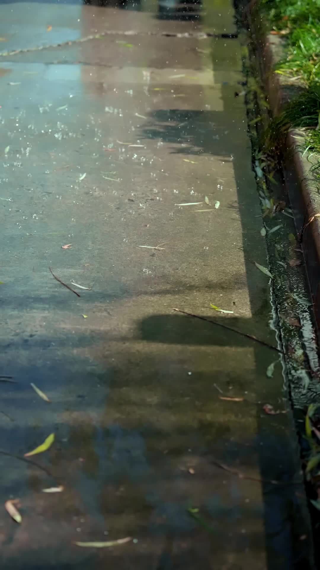 集 2