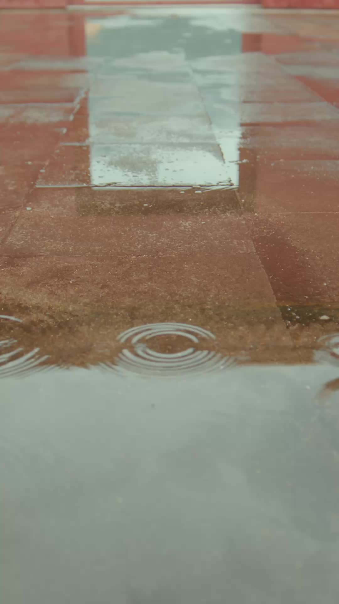 集 16