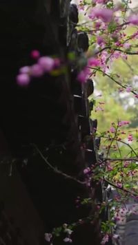 集 26