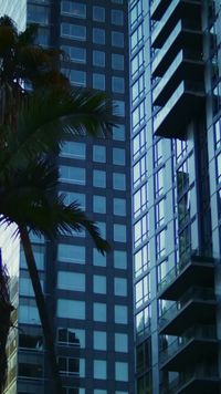Épisode 19