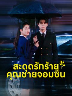สะดุดรักร้ายคุณชายจอมซึน