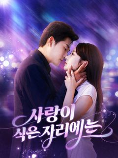 사랑이 식은 자리에는