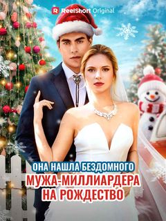 Она нашла бездомного мужа-миллиардера на Рождество