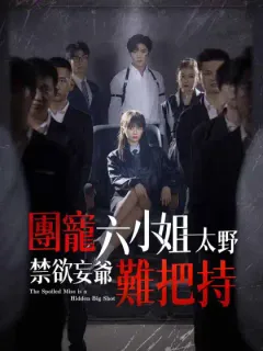 團寵六小姐太野，禁欲妄爺難把持