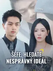 Šéfe, hledáte nesprávný ideál