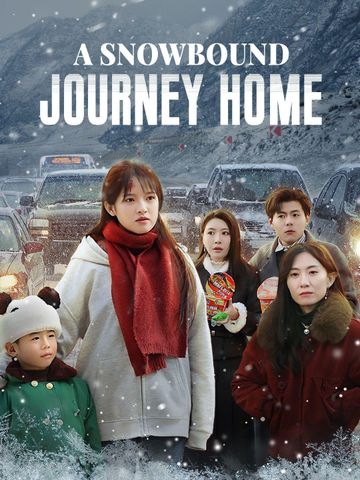 A Snowbound Journey Home