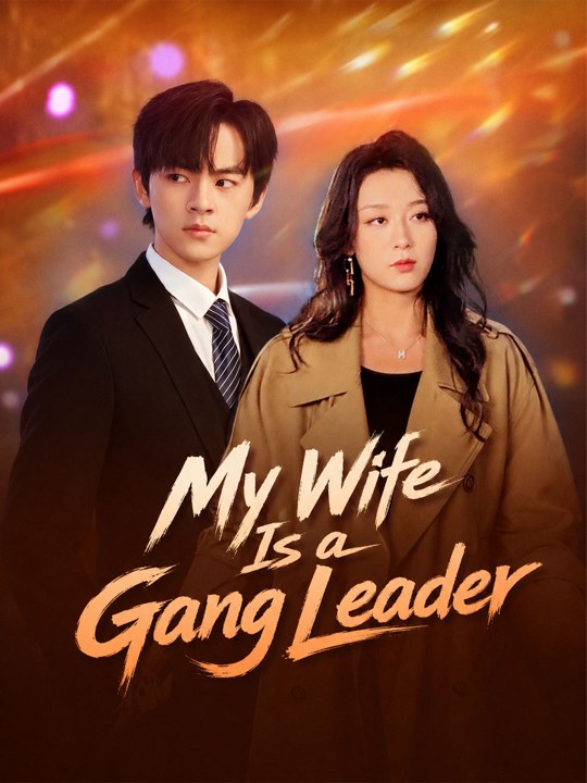 My Wife Is a Gang Leader